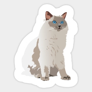 Ragdoll Cat Sticker